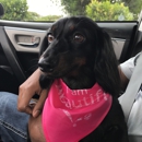 Ramey Veterinary Hospital DVM - Pet Boarding & Kennels