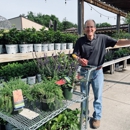 The Tulip Company & More LLC