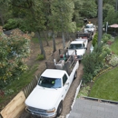 First Rae Lawn Service - Lawn Maintenance