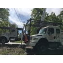 Action Tree Service - Stump Removal & Grinding