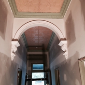 Gallery Image Number 5