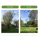 Cardwell Tree & Landscape - Tree Service