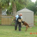 Miami K-9 - Dog Training