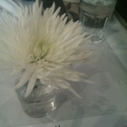 Sushi Hana Downtown