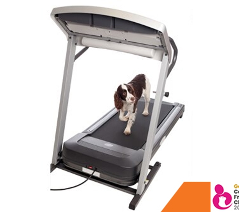 Pet Universe Vets. Canine Conditioning