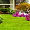 All In One Gardening - Gardeners