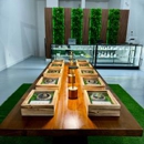 Awake Store - Alternative Medicine & Health Practitioners