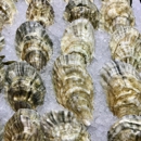 Maine Oyster Company - Food Products