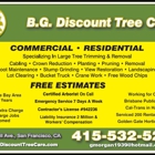 B.G. Discount Tree Care and Jorge D. Calderon