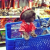 PetSmart gallery