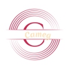 Cameg international gallery