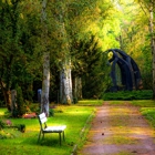 Test Account