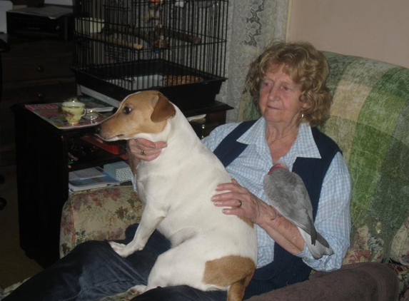 McIntyre G J - Kyneton, VIC. watching TV ����