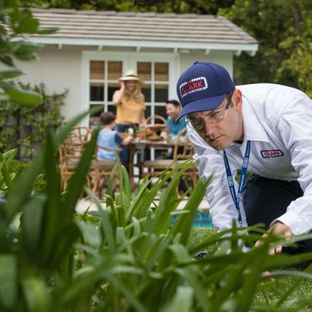 Clark Pest Control - Belmont, CA