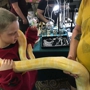 Pittsburgh Reptile Show & Sale