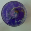 Actelion Pharmaceutical US Inc gallery