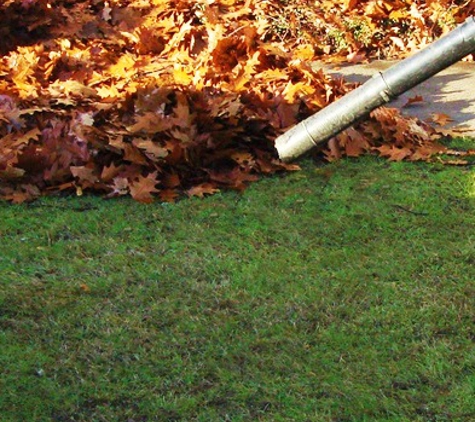 Grandpa Landscaping Management - Birmingham, AL. Leaf removal services