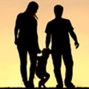 Lehr & Barnes Insurance - Insurance