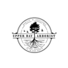 Upper Bay Arborist gallery