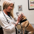 AM/PM Animal Hospital - Veterinarian Emergency Services