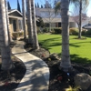 BioScapes Tree Care Inc gallery
