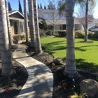 BioScapes Tree Care Inc
