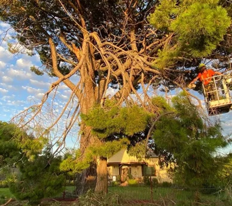 Federation Tree Care - Corowa, NSW