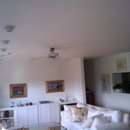 Palmetto Brush - Ceiling Cleaning