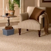 Best Steam Carpet Cleaning gallery