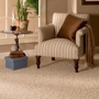 Best Steam Carpet Cleaning