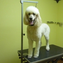 Clips and Cuddles Pet Salon - Pet Services