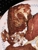 KFC - Fast Food Restaurants