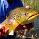 The Angler's Edge - Fishing Tackle