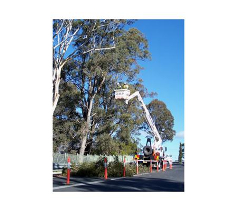 Sapphire Coast Tree Service & Tower Hire - South Pambula, NSW