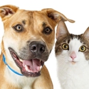 PAWS Pet Boutique - Pet Services