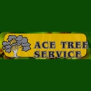Ace Tree Service,LLC. - Stump Removal & Grinding