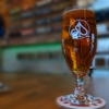 Slow Play Brewing gallery
