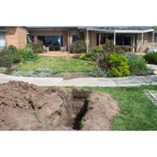 Gallery Image Number 6