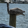 Hudson Marina gallery