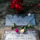 Cycadia Cemetery - Cemeteries