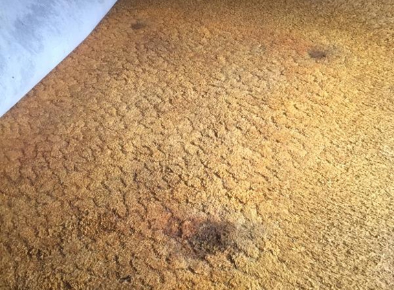 Le Hunte Carpet Care - Wudinna, SA