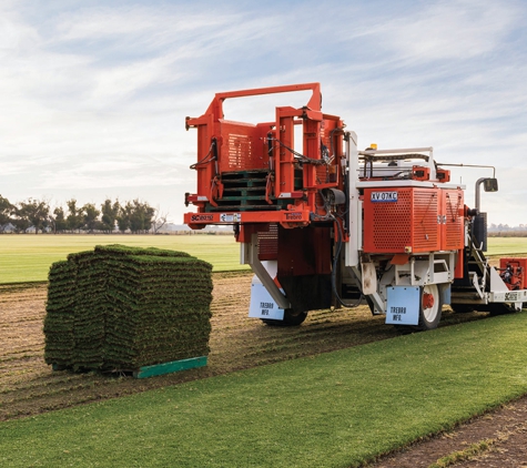 Coolabah Turf Instant Lawn - Echuca West, VIC