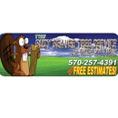 The Busy Beaver Tree Service & Excavation - Tree Service