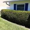 Yard Wright Lawn & Landscaping gallery