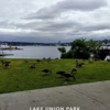 Lake Union Park gallery