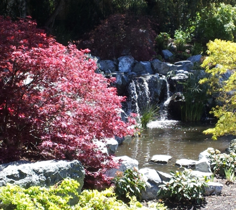 Pacific Pond & Waterfall - Martinez, CA