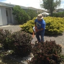 5 Star Yard Maintenance