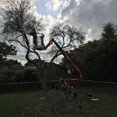 Southern Tree Care - Tree Service