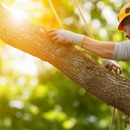 Brian Richards Tree Service - Tree Service