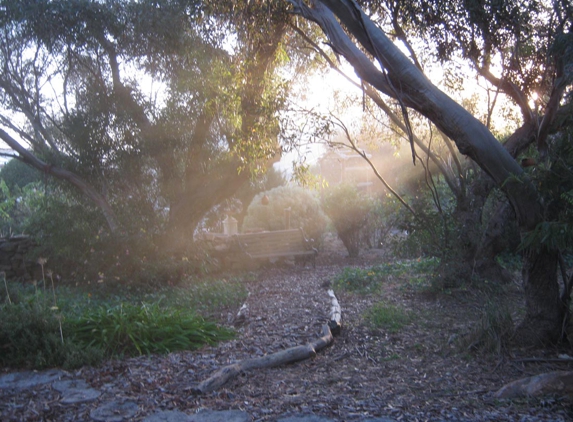 West Coast Funerals - Coomunga, SA. Magical early morning autumn mist in the woodland area.